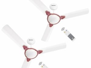 Havells 1200mm Equs BLDC Motor Ceiling Fan | 5 Star with RF Remote, 100% Copper, Upto 57% Energy Saving | ECO Active Technology, Flexible Timer Setting, Memory Backup | (Pack of...